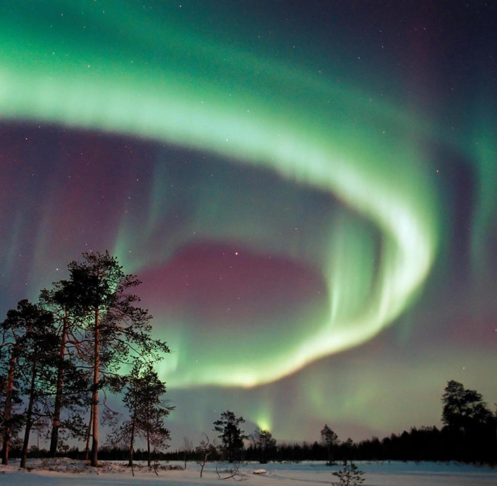 Glamping Taelt/Tent - Glampingzelt -Lodge - Sjoeutsikt Blattniksele ภายนอก รูปภาพ